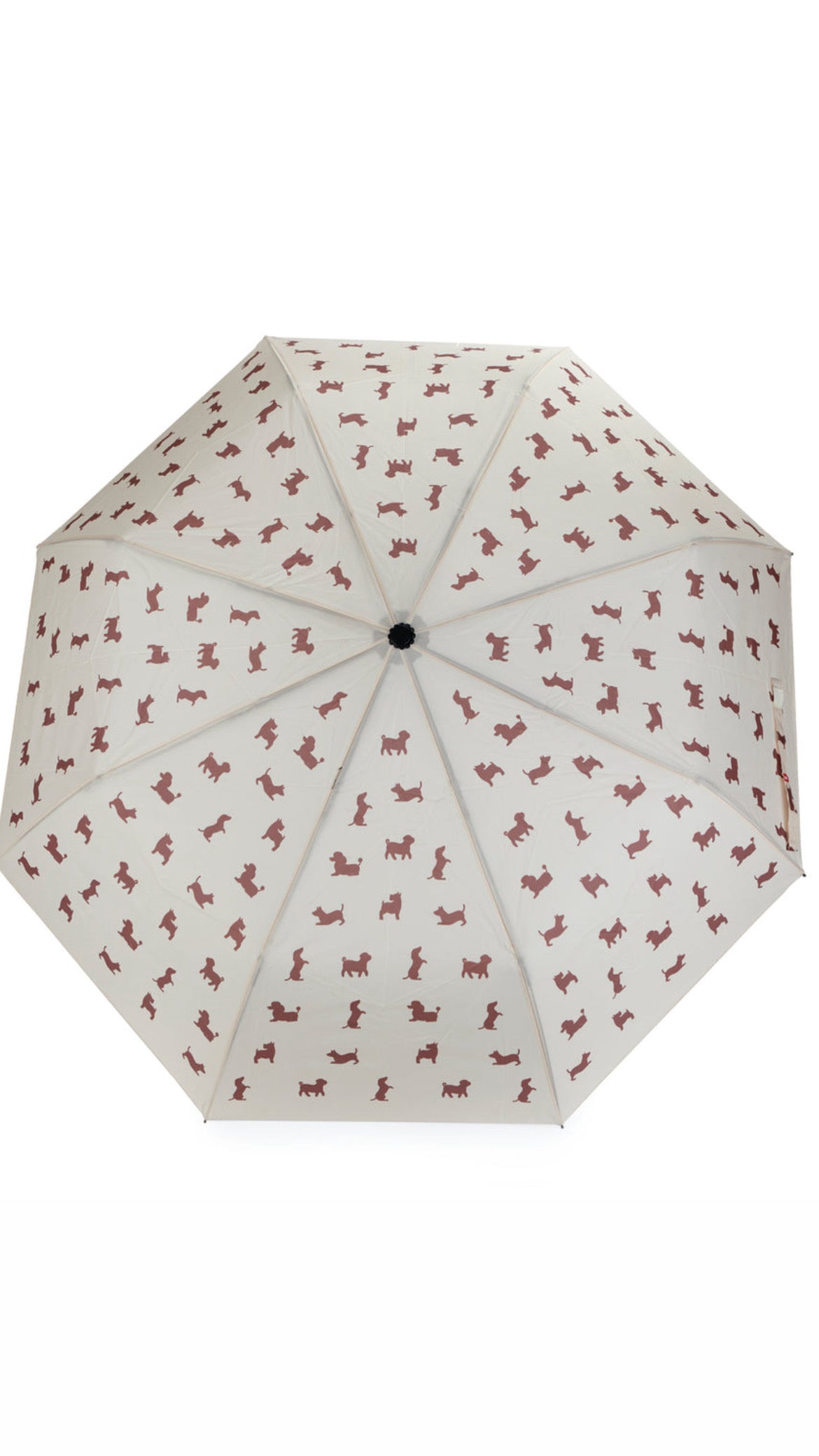 Paraguas Puppy Beige