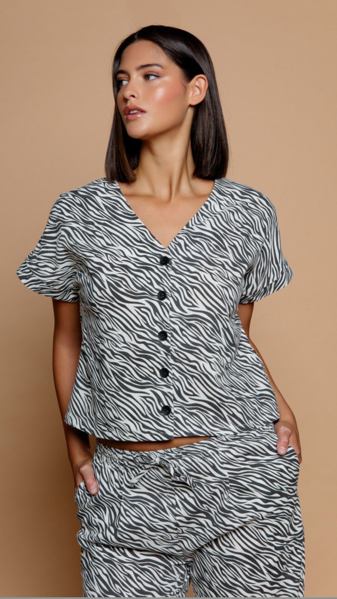 Zebra Top